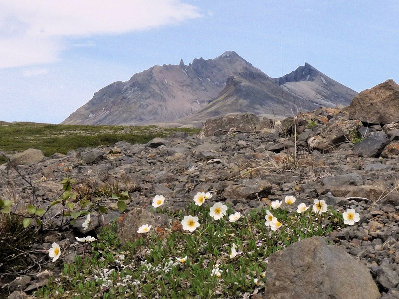 A (133) Hafrafell.JPG